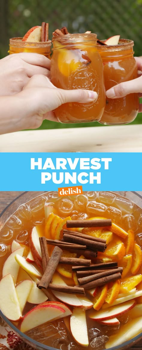 Harvest Punch, Fall Punch Recipes, Alcohol Shot, Fall Punch, Peach Schnapps, Fall Drinks, Summer Drink, Punch Recipes, Drink Recipe