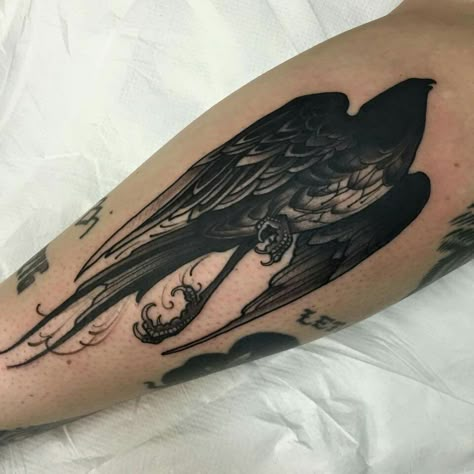 Black Work Bird Tattoo, Gothic Bird Tattoo, Dark Black Tattoos, Black Work Tattoo Design, Black Work Tattoos, Bird Tattoo Meaning, Mangas Tattoo, Black Bird Tattoo, Crow Tattoo