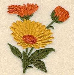 Flowers Of The Month, Floral Machine Embroidery Designs, Sunflower Embroidery, Stitching Ideas, Calendula Flower, Crochet Fairy, Stock Design, Sashiko Embroidery, Visible Mending