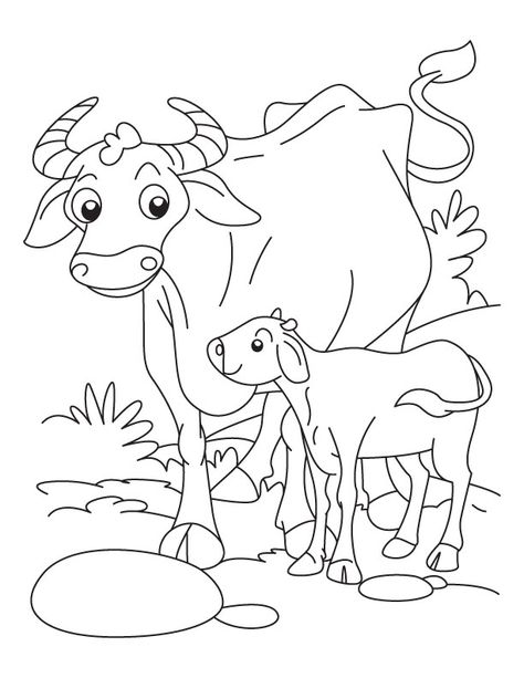 Buffalo with a calf coloring pages Quotes Creativity, Football Coloring Pages, Cow Coloring Pages, Cow Colour, Horse Coloring Pages, Math Coloring, Dog Coloring Page, Cow Calf, Drawing Quotes