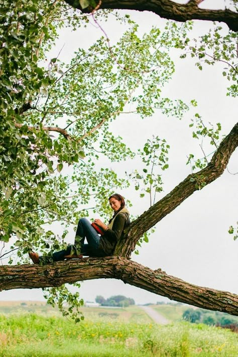 Person In Tree Reference, Sitting On Tree Branch Pose, Sitting In Tree Pose Reference, Sitting In Tree Pose, Leaning Against Tree Pose, Juniper Drawing, Reading In A Tree, Harp Player, Kalaw