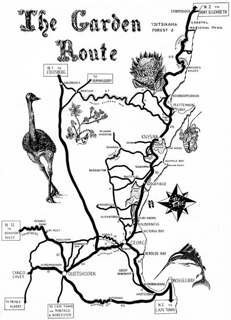 The Garden Route Map. Loved this tour  with  http://www.34southtours.com/garden-route-tour-listings.php South Africa Road Trips, Garden Route South Africa, South Africa Vacation, Plettenberg Bay, Amazing Scenery, Travel Africa, Knysna, Garden Route, Route Map