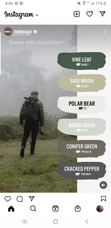 Bear Green Paint Colors, Vine Leaf Behr Paint Color Palette, Conifer Green Behr, Behr Cypress Vine, Behr Conifer Green, Forest Green Dining Room, Forest Green Paint Color, Moody Farmhouse, Moody Office