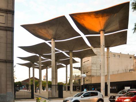 Gallery of The Umbrella Columns of Amancio Williams: Resistance, Autonomy, and Versatility as Seen in 10 Projects - 20 Column Design, Walter Gropius, Study Architecture, Concrete Structure, Shade Structure, Factory Design, Reinforced Concrete, Structure Design, Brutalism