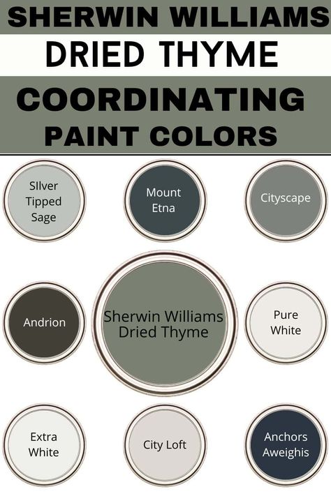 Sherwin Williams Dried Thyme Paint Color Review - West Magnolia Charm Dry Thyme Sherwin Williams, Thyme Sherwin Williams, Thyme Paint Color, She Twin Williams Dried Thyme, Basalt Powder Sherwin Williams Paint, Popular Green Sherwin Williams, Wherein Williams Dried Thyme, Sherwin Williams Dried Thyme Color Palette, Sherwin Williams Dried Thyme Bathroom