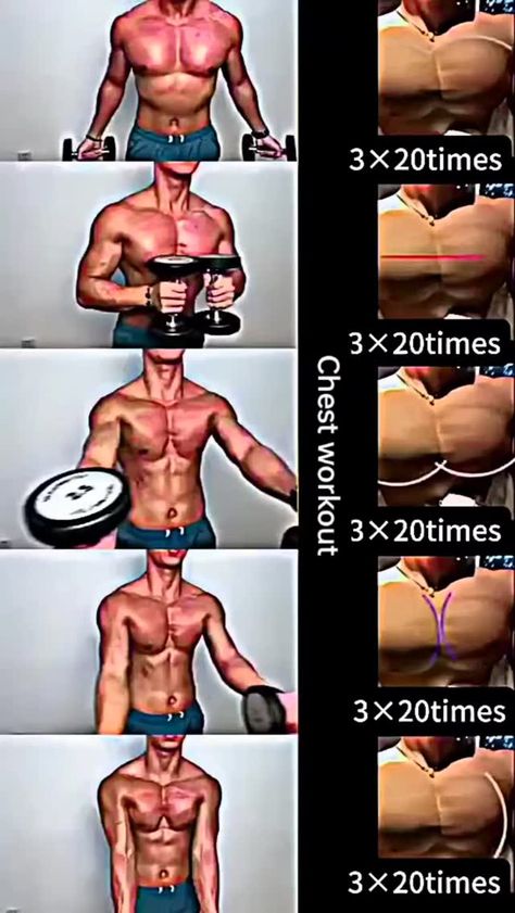 Instagram Chest Workout With Dumbbells, Workout Videos For Men, Dumbbell Chest Workout, Pull Day Workout, Chest And Tricep Workout, Pull Day, Chest Workout At Home, Chest Workout For Men, Chest Workout Routine