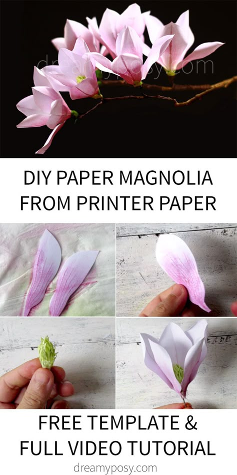 paper magnolia tutorial, paper flower, free template Magnolia Paper Flowers Template, Paper Magnolia, Tissue Paper Flowers Diy, Make Paper Flowers, Wafer Paper Flowers, Fleurs Diy, Paper Flowers Wedding, Large Paper Flowers, Paper Flower Template