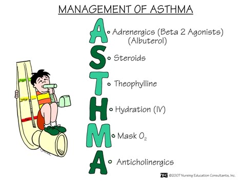 Asthma is a chronic disease, so it requires ongoing management. This includes using proper medications to prevent and control symptoms and to reduce airway inflammation. Nursing Mnemonics, Surgical Nursing, Medical Surgical Nursing, Pharmacology Nursing, Nursing School Survival, Respiratory Therapy, Nursing School Studying, Medical School Studying, Nursing School Tips