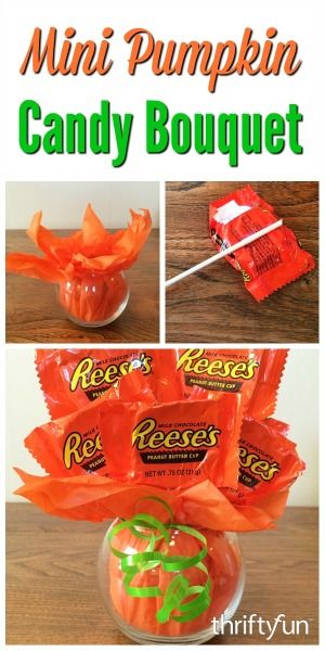 This is a guide about making a mini pumpkin candy bouquet. Make this cute candy bouquet to give as a gift or use as a holiday centerpiece. 3d Templates, Candy Bouquets, Candy Crafts, Halloween Goodies, Pumpkin Candy, Candy Bouquet, Cute Candy, Holiday Centerpieces, Mini Pumpkins