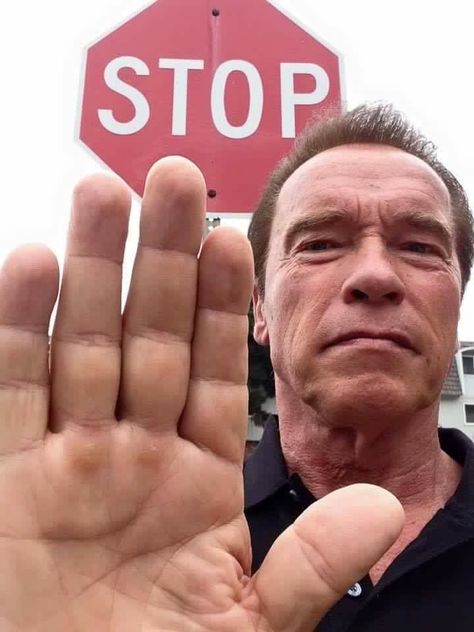 Stop Meme, Conan The Conqueror, Weird Quotes Funny, You Meme, Memes Humor, Meme Template, Arnold Schwarzenegger, Terminator, Funny Animal Pictures