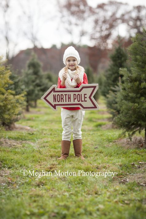 Christmas Tree Farm mini session - Meghan Morton Photography Wareham, MA Farm Mini Session, Christmas Mini Sessions Outdoor, Christmas Tree Farm Mini Session, Tree Farm Pictures, Christmas Photoshoot Kids, Outdoor Christmas Photos, Tree Farm Photo Shoot, Photography Sets, Tree Farm Mini Session