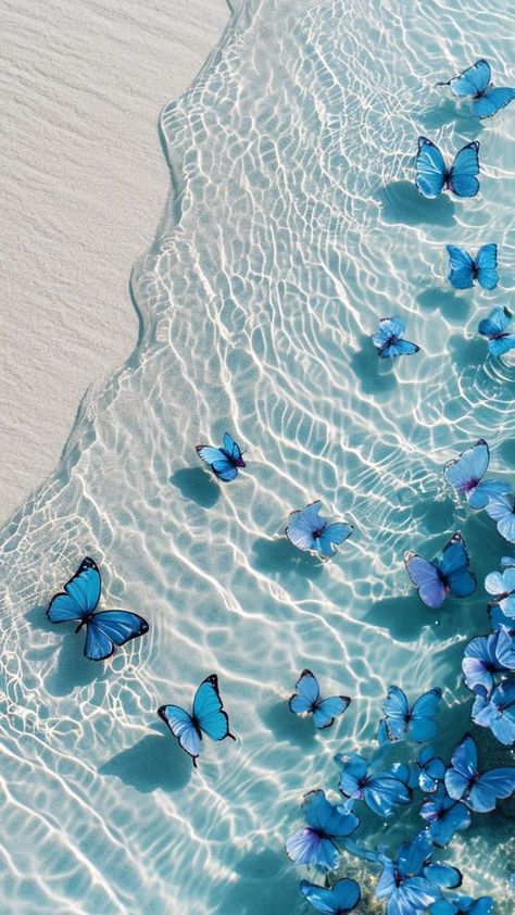 Beautiful Summer Wallpaper, Whatsapp Wallpaper Cute, Cute Summer Wallpapers, Cute Blue Wallpaper, Beautiful Ocean Pictures, Pretty Phone Wallpaper, Blue Butterflies, Whatsapp Wallpaper, Pretty Landscapes