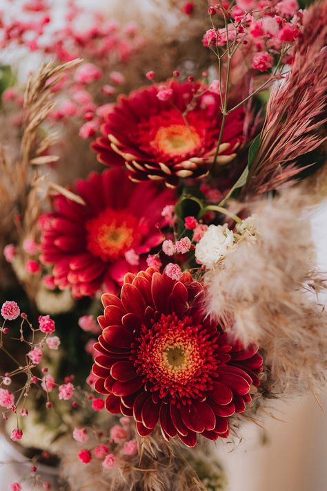 Bouquet of Red Gerbera Flowers · Free Stock Photo Red Gerbera, Gerbera Daisy Bouquet, Gerbera Bouquet, Red Daisy, Gerbera Flower, Flower Names, Gerbera Daisy, Floral Theme, Flower Photos