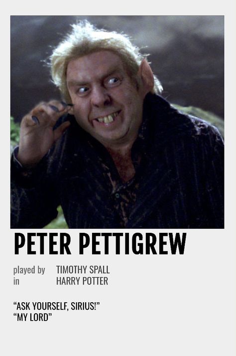 Peter Pettigrew Harry Potter, Harry Potter Information, Harry Potter Movie Characters, Cover Harry Potter, Harry Potter Cards, Harry Potter Character, Harry Potter Print, Harry Potter Printables, Character Poster