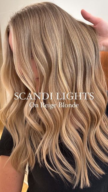 Blonde Beige Highlights, Warm Blonde Highlights, Natural Blonde Highlights, Cool Blonde Hair Colour, Warm Blonde Hair, Blonde Hair Goals, Winter Blonde, Blonde Shades, Summer Blonde Hair