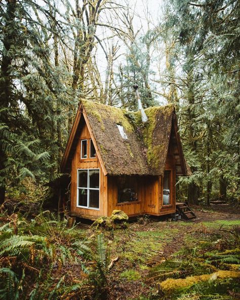 Tiny house dump - dump post - Imgur Wood Siding Exterior, Wooden House Design, Forest Cottage, Off Grid Cabin, Roofing Diy, Little Cabin, Tiny Cabin, Wood Siding, Cabin In The Woods