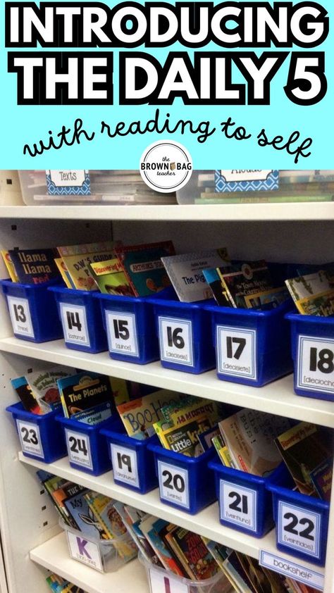 Build reading stamina in your classroom by Introducing The Daily 5 with Reading To Self! From day one, we kicked off our reading stamina practice in class. I initially filled book bins with a diverse range of books to suit varied reading levels. After benchmarking, each student has a personalized selection of 'just-right' books along with a 'just-for-fun' book of any level. Building Reading Stamina, Daily 5 Activities, Reading Stamina, Just Right Books, Read To Self, Book Bins, 1st Day Of School, Primary Classroom, Daily 5