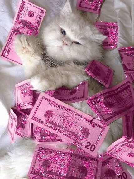 Pink Money, Pink Glitter Wallpaper, Pink Tumblr Aesthetic, Söt Katt, Cute Cat Wallpaper, Cute Cats Photos, Pastel Pink Aesthetic, Glitter Wallpaper, Pink Vibes