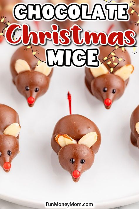 Squeak into the holiday spirit with these adorable Christmas mice! These bite-sized treats are the perfect addition to your Christmas party spread, though you may find that these chocolate-covered cherry mice are almost too cute to eat! Cherry Mice, Mouse Recipes, Cherry Christmas, Holiday Food Crafts, Chocolate Covered Cherry, Christmas Donuts, Christmas Mice, Best Christmas Recipes, Chocolate Christmas