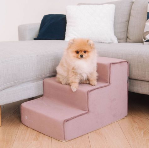 Small pet stairs for bed on 3 steps Dog ladder for couch Foam dog staircase Ramp | eBay Pet Stairs For Bed, Stairs For Bed, Pregnant Dogs, Couch Foam, Dog Stairs For Bed, Dog Steps For Bed, Toy Terrier, Old Pug, Bed Stairs