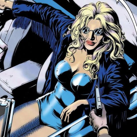 Black Canary Comic, Bat People, Green Arrow Black Canary, Gary Frank, Helena Bertinelli, Dinah Laurel Lance, Dinah Lance, Arrow Black Canary, Canary Birds