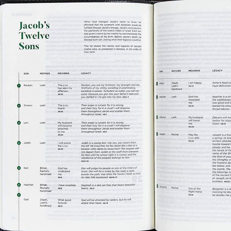 CSB He Reads Truth Bible, Evergreen Cloth Over Board, Black Letter, Wide Margins, Journaling Space, Illustrations, Reading Plans, Single-Column, Easy-to-Read Bible Serif Type: He Reads Truth, CSB Bibles by Holman, Myers, Raechel, Williams, Amanda Bible: 9781535935036: Amazon.com: Books Easy To Read Bible, He Reads Truth, She Reads Truth Bible, Book Of The Bible, Bible Text, Birth Mother, Reading Plan, Books Of The Bible, Letter T