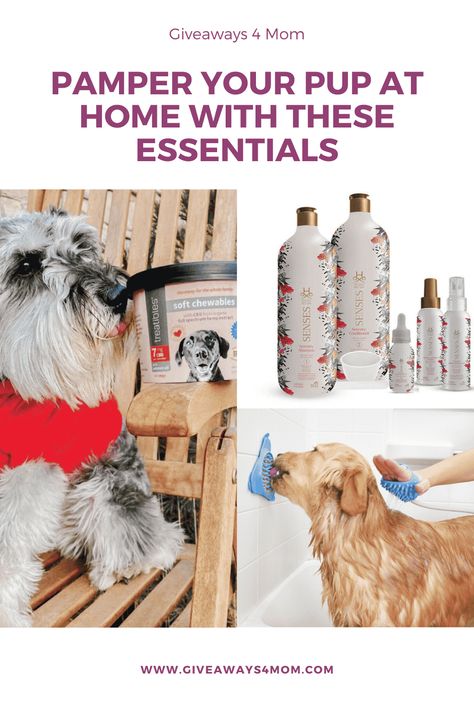 Best Dog Gifts, Dog Grooming Tools, Pet Spa, Spa Day At Home, Pet Care Tips, Pool Toys, Relaxing Bath, Pet Life, Grooming Tools