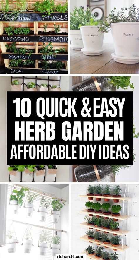 10 DIY Herb Garden Ideas That Look Professional Diy Herb Garden Ideas, Herb Garden Ideas, Mason Jar Herbs, Mason Jar Herb Garden, Herb Garden Pallet, Herb Garden Pots, Outdoor Herb Garden, Herb Garden In Kitchen, Diy Herb Garden