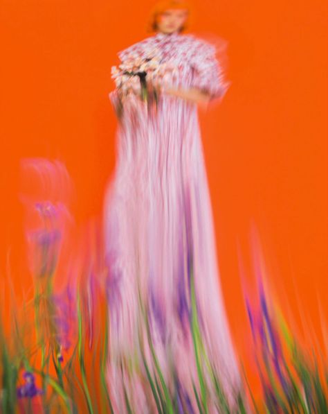 Color Vibe, Summer Wedding Guests, Theatre Poster, Focus Photography, Magazine Editorial, Contemporary Photographers, Creative Portraits, Big Flowers, Fashion Editorial