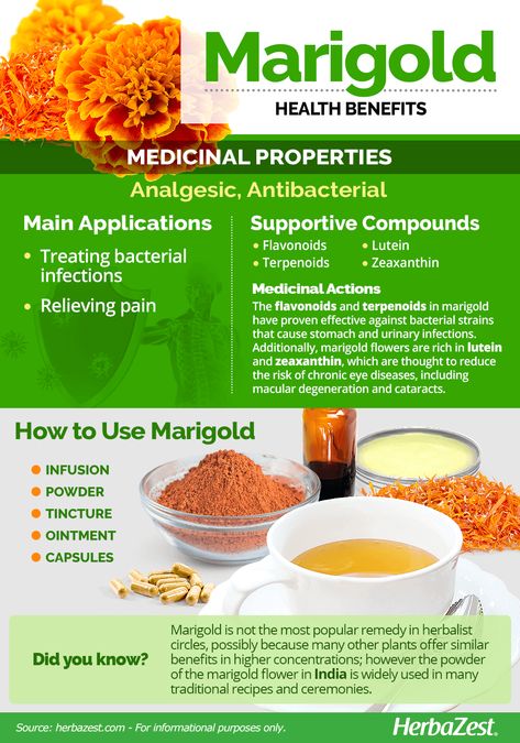 Marigold Tea, Tea Health Benefits, Marigold Flower, Tea Benefits, Flower Tea, Healing Herbs, Orange Flower, Medicinal Herbs, Medicinal Plants