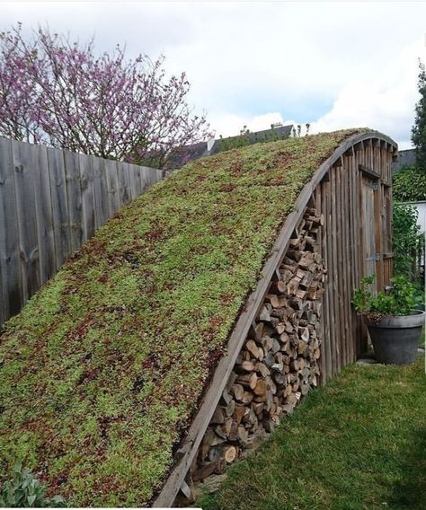 Grass Shed Roof, Garden Wood Storage, Sloping Garden Design, Acreage Landscaping Ideas Country Life, Build A Root Cellar, Grass Roof, Root Cellar, Sauna Design, Wood Store