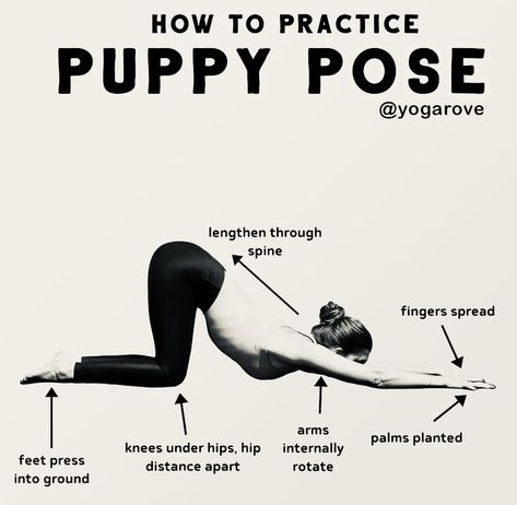 Puppy Pose Yoga, Yoga Cues, Prenatal Yoga Poses, Posture Yoga, Yoga Teacher Resources, Yoga Progress, Yoga Information, Puppy Pose, Yoga Facts