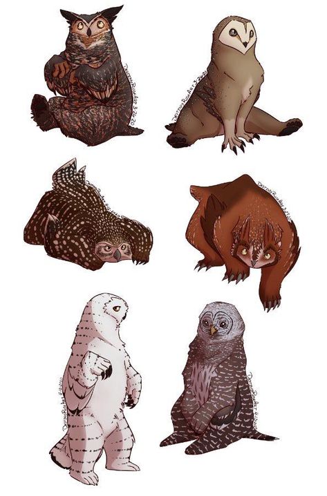 Dnd Creature Art, Owlbear Tattoo, Owl Bear, Dnd Creatures, Creature Ideas, Dnd Dragons, Creature Artwork, Cool Monsters, Creature Drawings