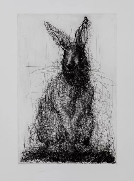 Rabbit, Drypoint and Etching | Works on Paper Drypoint Etching, Ballpoint Pen Art, Art Alevel, Ballpoint Pen Drawing, Frank Stella, Etching Prints, Painting Words, Viewing Room, Art Studies