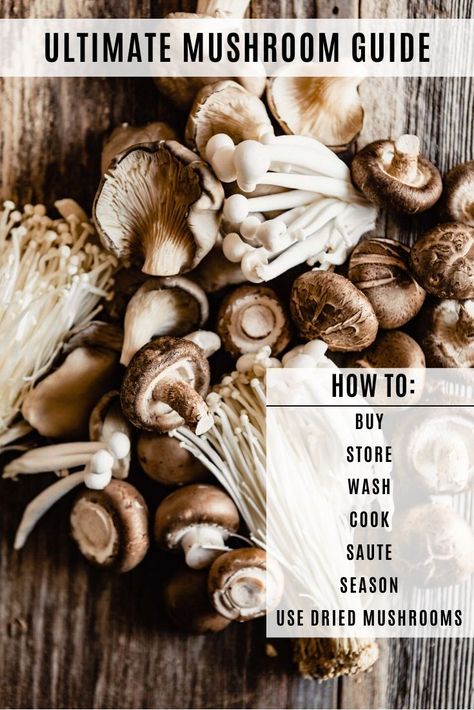 The Ultimate Mushroom Guide! Learn how to buy, store, clean and cook with mushrooms! This guide covers it all! | Zestful Kitchen #cookingtips #learnhowtocook #cookingwithmushrooms #storingmushrooms #rehydratingdriedmushrooms How To Store Mushrooms, Different Types Of Mushrooms, Cook Mushrooms, Roasted Portobello Mushrooms, Mushroom Guide, Hungarian Mushroom Soup, Types Of Mushrooms, Roasted Pork Tenderloins, How To Cook Mushrooms