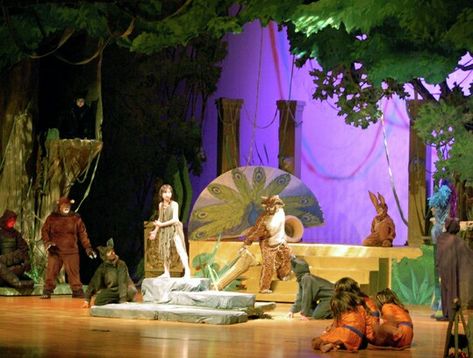 Madagascar Costumes, Jungle Book Costumes, Garland Texas, Drama Stage, Modern Theatre, Stage Crew, Lion King Jr, Jungle Book Disney, Book Costumes