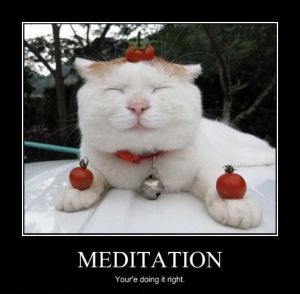 Meditation cat can haz inner peace. #meditation #LOLcats Meditation At Home, Start Meditation, Meditation Techniques For Beginners, Autogenic Training, Very Demotivational, Easy Meditation, Demotivational Posters, Best Meditation, Bad Kids