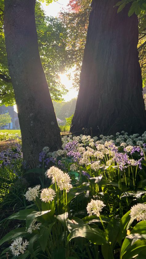 spring Spring 2025 Aesthetic, March Aesthetic, Spring Core, Cottage Spring, 2025 Board, Spring Afternoon, Season Aesthetic, Pure Barre, Spring Breeze