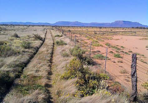 Interesting Perspective, Homestead Farm, Permaculture Design, Cattle Farming, Sustainable Agriculture, Land Management, Urban Farming, Farm Gardens, The Ranch