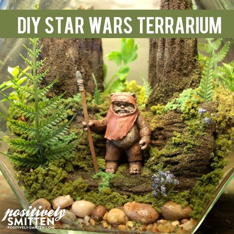 Star Wars Terrarium, Beach Theme Candles, Diy Star Wars, Dinosaur Garden, Star Wars Bedroom, Star Wars Crafts, Diy Star, Star Wars Room, Star Wars Decor