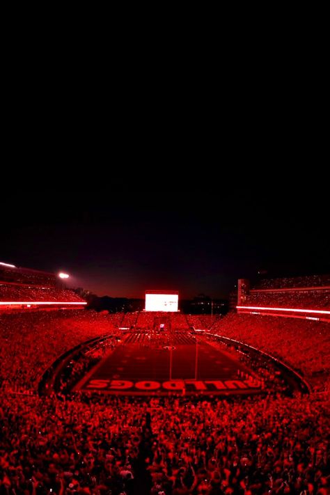 Uga Football Aesthetic, Georgia Football Aesthetic, Red Football Aesthetic, Georgia Bulldogs Football Wallpapers, Uga Football Wallpaper, Alabama Football Aesthetic, Uga Wallpapers, Georgia Football Wallpaper, Uga Aesthetic