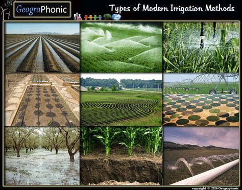 Free Quiz Game : Types of Modern Irrigation Methods  Types of Modern Irrigation Methods, Types ,Modern Irrigation Methods,,Modern, Irrigation Methods,irrigation, methods, watering, water, sprinkler, Furrow Irrigation, Sprinkler irrigation, Micro-sprinkler irrigation ,Drip irrigation, Contour Laterals Irrigation, Central Pivot Irrigation, Wild Flooding, Sub-surface drip irrigation , controlled basin flooding, flooding, basin, farming, agriculture, farms, micro, wet, harvest, contours, plants Irrigation Systems, Greenhouse Irrigation, Types Of Irrigation, Sprinkler System Design, Ancient Irrigation System, Smart Irrigation System, Water Irrigation System, Irrigation Methods, Farmer Painting