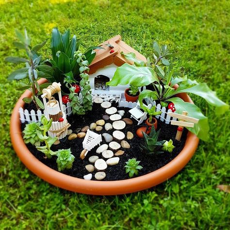 Miniature Garden Design, Miniature Garden Ideas, Fairy Garden Pots, Indoor Fairy Gardens, نباتات منزلية, Succulent Garden Design, Fairy Garden Designs, Fairy Garden Crafts, Garden Plant Pots