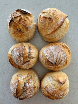 Mini Artisan Bread, Sourdough Bread Rolls Recipe, Crusty Sourdough Rolls, Sour Dough Breads, Pantry Mama Sourdough Sandwich Loaf, Sourdough Bread Mini Loaves, Sourdough Bread Recipe In Cups, Sourdough Mini Loaf, Sourdough Crusty Rolls