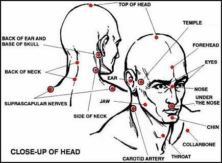 Knockout Pressure Point Chart | ... diagram of the most vital striking points around the head and neck Pressure Points Chart, Systema Martial Art, Jiu Jutsu, Learn Krav Maga, Situational Awareness, Self Defense Moves, Self Defense Tips, Self Defense Martial Arts, Pressure Point