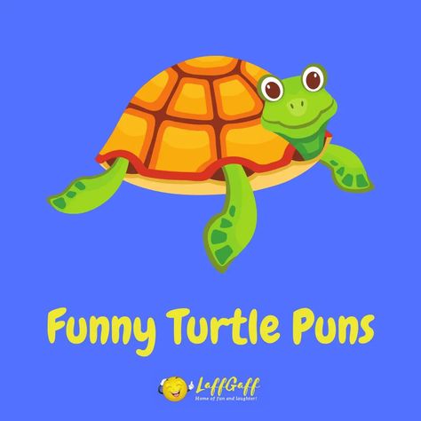 Shell-ebrate humor with these turtley awesome turtle puns and jokes! They're sure to bring you out of your shell, so don't be slow - read them now! Turtle Puns, Puns For Kids, Funny Puns For Kids, Funny Turtle, Turtley Awesome, Snapping Turtle, Pet Turtle, Shell Shock, Turtles Funny