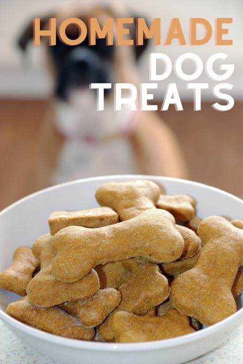 Homemade Dog Treats - Gather Lemons Dog Treat Business, Dog Treats Recipes, Pet Treats Recipes, Treat Business, Organic Dog Treats, Dog Treats Homemade Easy, Easy Dog Treat Recipes, Animal Treats, Dog Biscuit Recipes