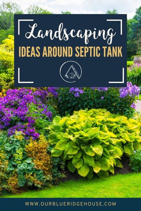 Plants Around Septic Tank, Plants Over Septic Field, Flower Bed Around Septic Tank, Landscaping To Hide Propane Tank, Septic Tank Mound Landscaping Ideas, Sewer Tank Cover Ideas, Landscaping Around Septic Mound, Septic Tank Landscaping Ideas, How To Hide Septic Tank Lids With Plants