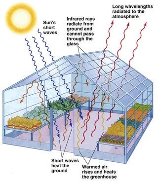 Make Your Own Greenhouse - How Fast the Plants Grow : 10 Steps - Instructables What Is A Conservatory, Greenhouse Supplies, Conservatory Greenhouse, Best Greenhouse, Greenhouse Shed, Build A Greenhouse, Home Greenhouse, Greenhouse Effect, Greenhouse Growing