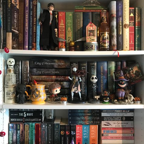 Bookshelf Harry Potter, Harry Potter Book Display, Harry Potter Bookshelf Ideas, Harry Potter Book Corner, Bookshelf Figurines, Harry Potter Library Decor, Cozy Book Shelf, Bookshelf Aesthetic Bedroom, Harry Potter Book Shelf